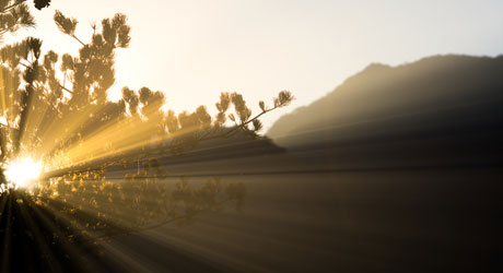 Sun burst in the Mountains